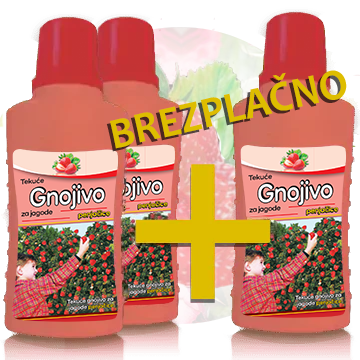 2 + 1 Tekoče gnojilo za jagode